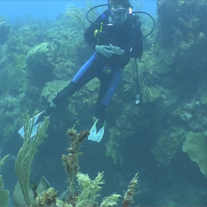 I enjoy adrenaline...